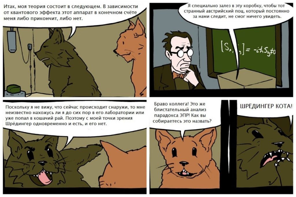 Кот Шредингера. Юмор