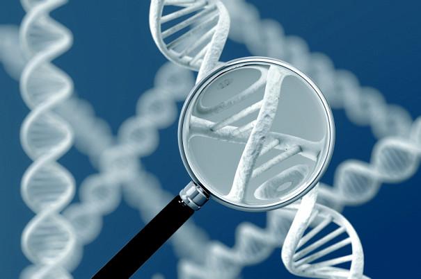 Современные разделы генетики - это 7 почти самостоятельных отраслей.