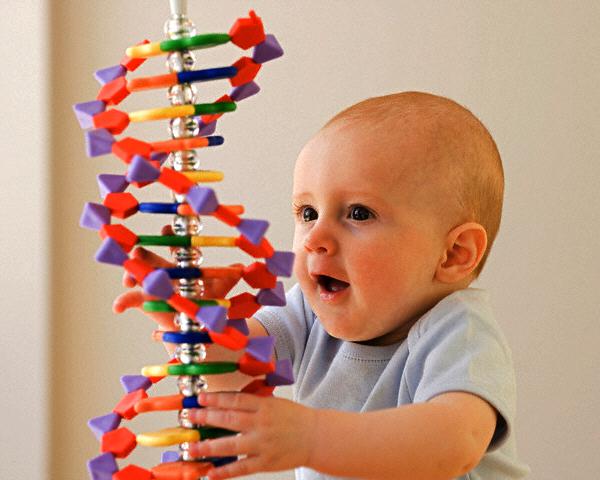 Долгие годы люди пытались решить проблему, как понять генетику. Сейчас на то уходят миллиарды долларов и трудятся лучшие умы человечества.