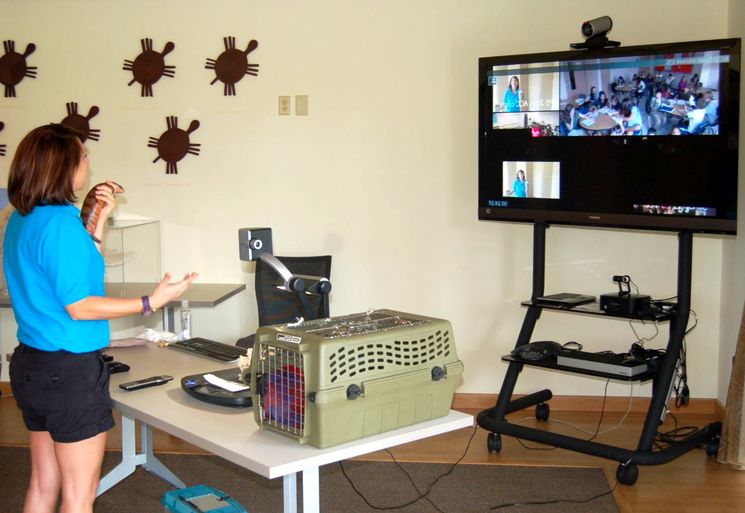 Заочное обучение с применением дистанционных технологий подходят как для бучения отдельного курса повышения квалификации или переподготовки, так и для целостного получения первого/второго высшего образования