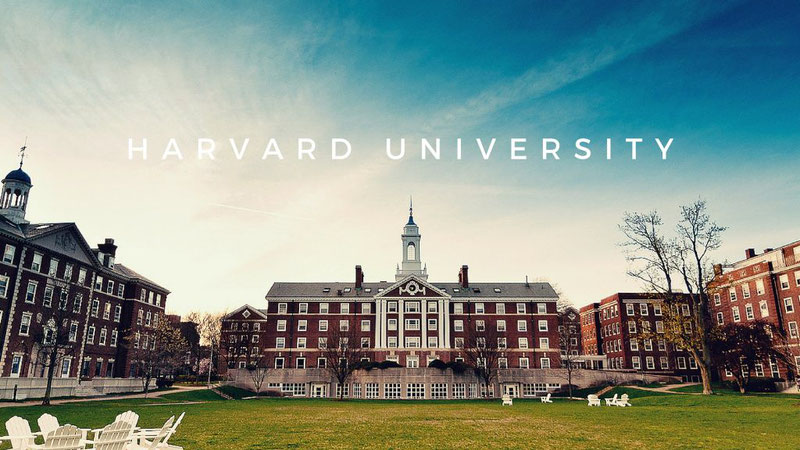 Гарвард - родина кейсов