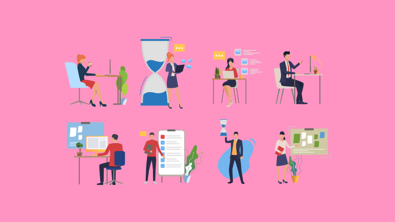 Самые популярные специальности в вузах 2022