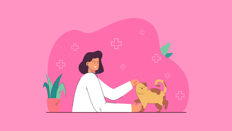 Отчет по практике по ветеринарии: как составить, правильно оформить, структура + пример 2025