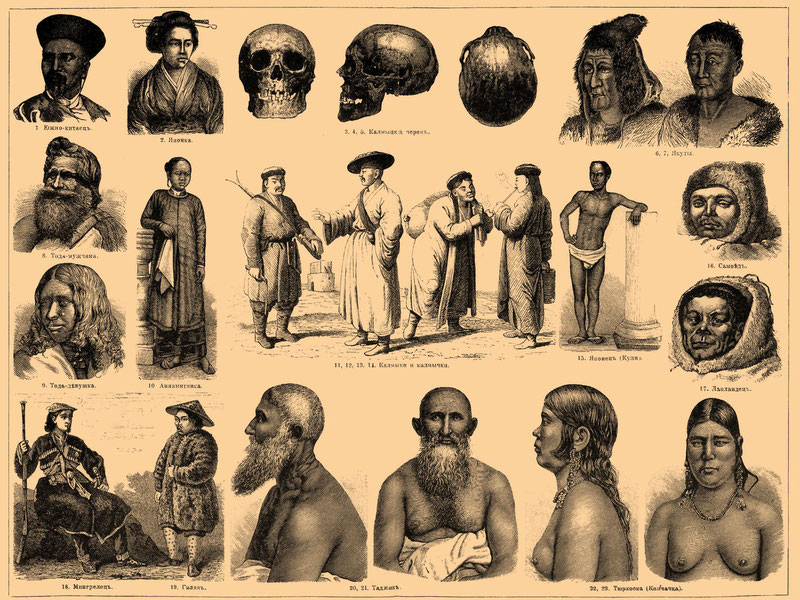 Знание истории необходимо при изучении этнологии и антропологии
