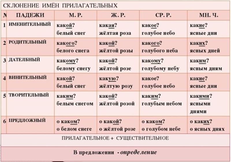 Как склонять прилагательные