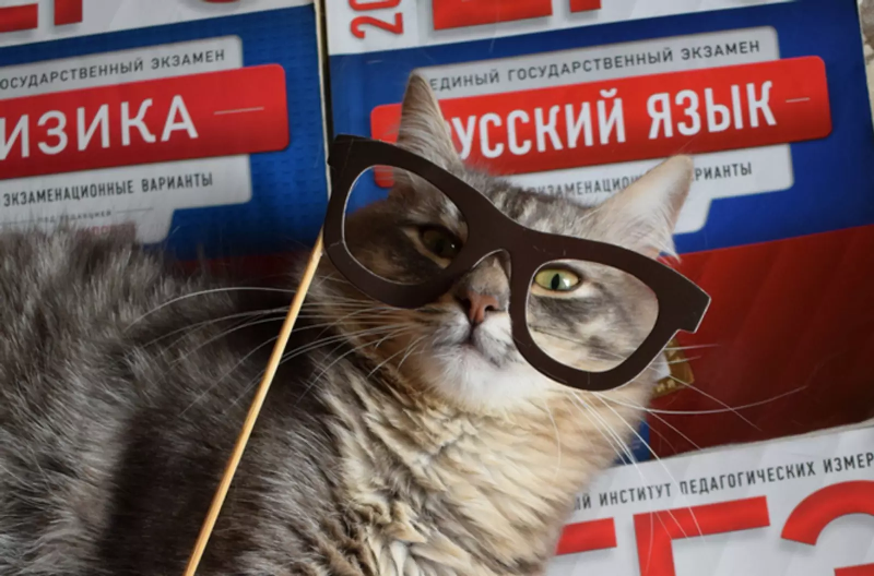 ЕГЭ предметы